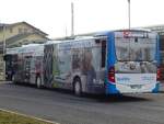 Mercedes Citaro III der Stadtwerke Greifswald in Greifswald.