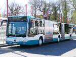 Mercedes Citaro III der Neubrandenburger Verkehrsbetriebe in Neubrandenburg.