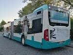 Mercedes Citaro III der Neubrandenburger Verkehrsbetriebe in Neubrandenburg.