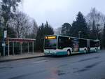 Mercedes Citaro III der Neubrandenburger Verkehrsbetriebe in Neubrandenburg.