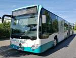 Mercedes Citaro III der Neubrandenburger Verkehrsbetriebe in Neubrandenburg.