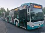 Mercedes Citaro III der Neubrandenburger Verkehrsbetriebe in Neubrandenburg.