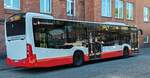 Stadtbus der Hamburger Hochbahn unterwegs auf der Linie 250