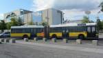 Solaris Urbino 18 Diesel Gelenksbus der Berliner Verkehrsgesellschaft (BVG) am 13.8.2012 auf der Linie M85 von Lichterfelde S�d (S) nach Hauptbahnhof/Washingtonplatz am Platz der Republik kurz vor dem