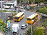 Volvo Camus als Linienbusse unterwegs in Funchal/Madeira im M�rz 2015
