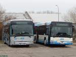 Irisbus Crossway und MAN Niederflurbus 2.