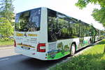 Heckpartie des MAN Lion's City TF-UR13 der Firma A.
