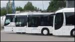 Fronten vom Setra 317 UL von K�stenbus, zwei mal MAN Lion's City von K�stenbus und MAN Lion's Regio von Hameister aus Deutschland in Rostock.