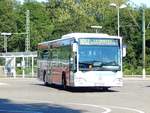 Mercedes Citaro I von Seitter aus Deutschland in Leonberg.