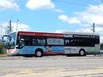 Mercedes Citaro II von Probst aus Deutschland in Ulm.