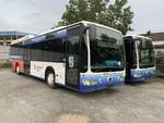 KüN-UH 30 (Baujahr 2010) und 111 (Baujahr 2009) von Hütter stehen am 29.8.2020 im Ausmusterungszustand in Öhringen.