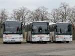 Mercedes Intouro und Mercedes Integro von Dankert aus Deutschland in Rechlin.