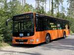 MAN Lion's City LE � der MVVG in Plau am See.