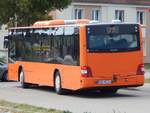 MAN Lion's City von Tonne aus Deutschland in Malchow.