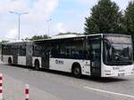 MAN Lion's City von Regionalbus Rostock in Rostock.