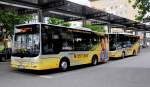POSTBUS MAN LIONs CITY,seit Sommer 2011 die neuen Stadtbusse  unser Kremser im Auftrag der Stadt Krems an der Donau/�sterreich.Foto vom Herbst 2011.Hier beim Bus-und Eisenbahnhof in Krems.